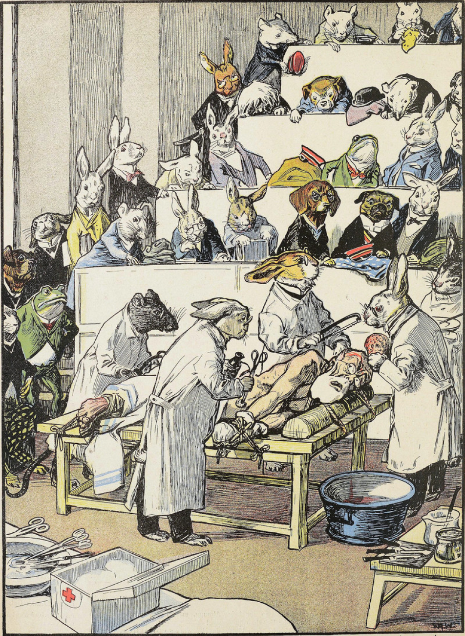 Colorful sketch of anthropomorphic animals dressed in old fashioned clothing performing surgery on a patient lying on a table.