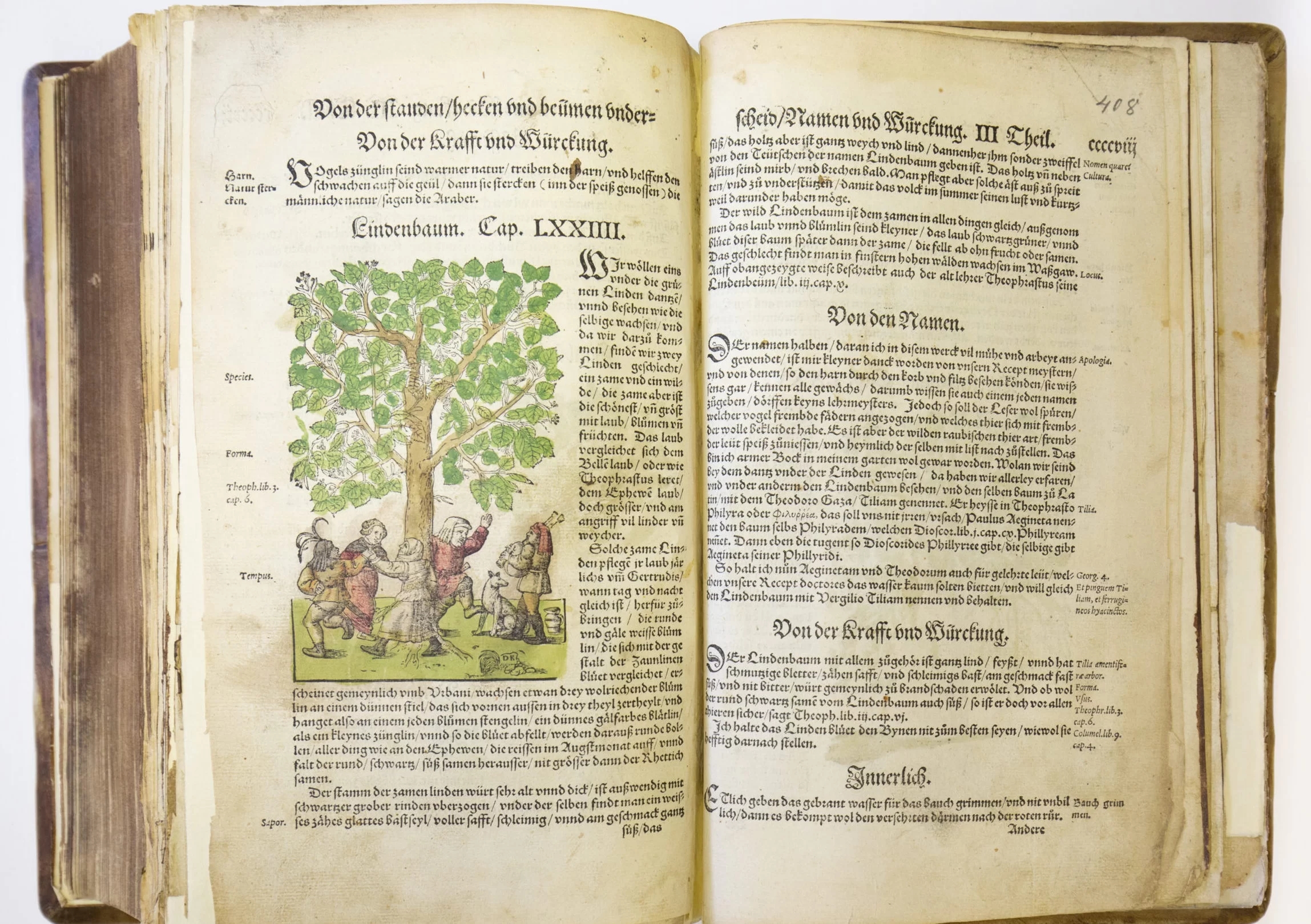 Grāmatas atvērums, kurā ir redzams garšs un ļoti smalks teksts, kurš apraksta ārstniecības augu izmantošanu. Redzama arī smalka, krāsaina grafika ar aprakstā minēto ainu, kur cilvēki dejo ap koku.