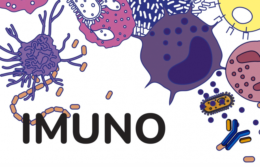 Ilustrācija ar dažādām šūnām un nosaukumu - IMUNO