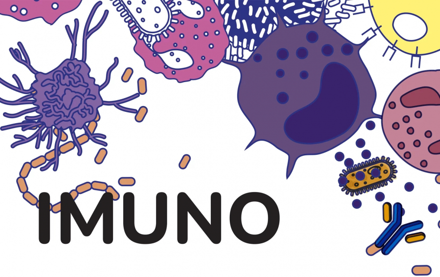 Ilustrācija ar dažādām šūnām un nosaukumu - IMUNO